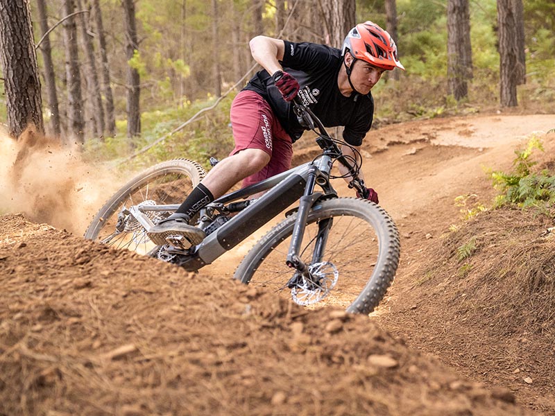 Polygon electric mountain bike (E-MTB)