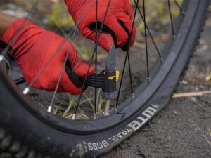 1. Punctures