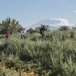 Sewa Sepeda di Rodalink: Bisa Blusukan ke Bukit Belong, Bali