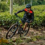 All You Need to Know about Mountain Bikes