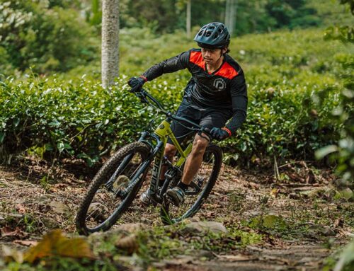All You Need to Know about Mountain Bikes