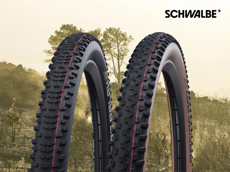 Schwalbe racing ray and ralph tyre