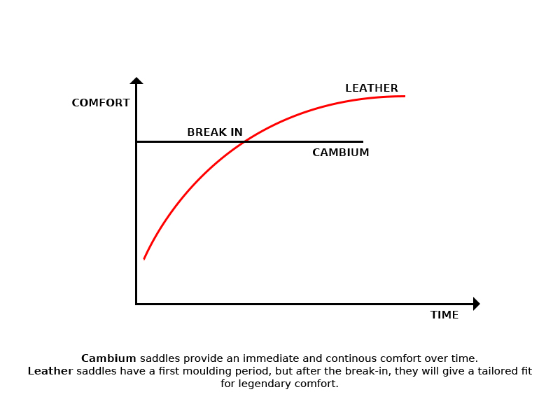 Various saddle materials durability line chart