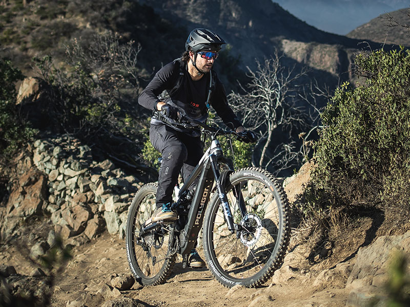 Polygon MT Bromo N8 electric mountain bike