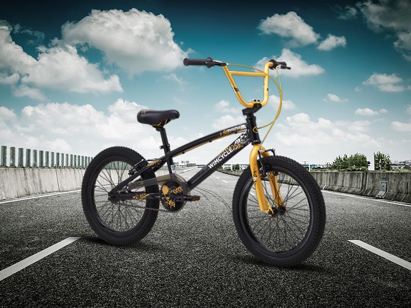 Sepeda BMX anak Wimcycle Thrasher 20