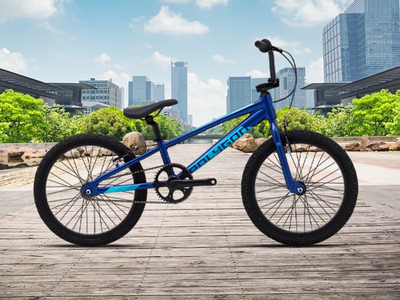 Polygon BMX Rogue kids bike