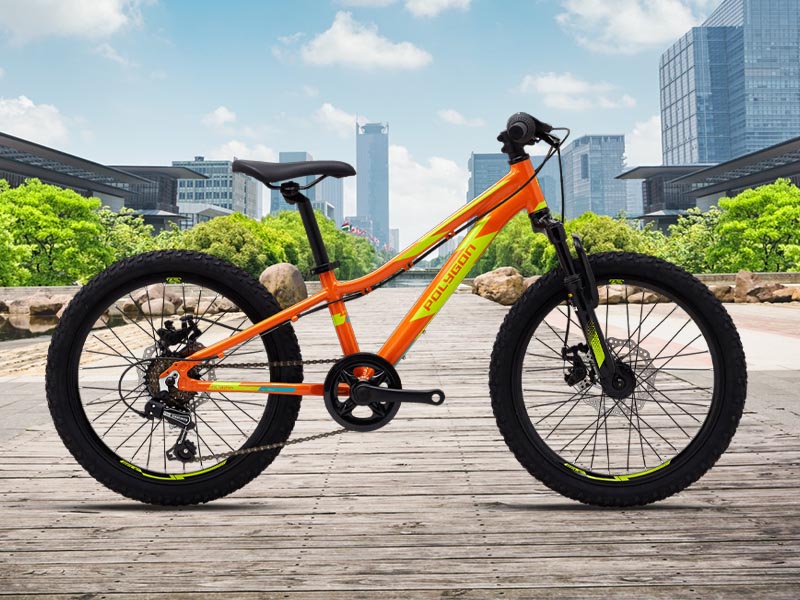 Polygon Relic 20 kids bike