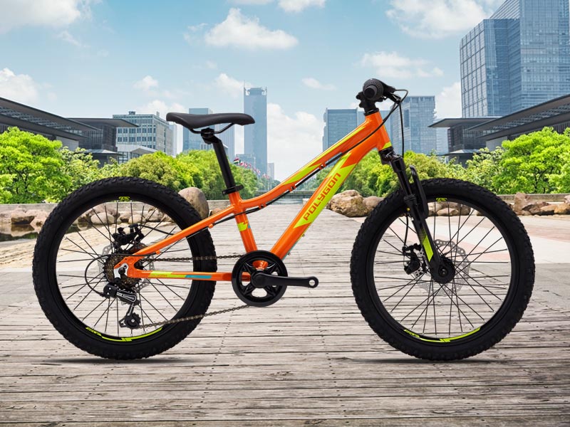 Polygon Relic 20 kids bike 