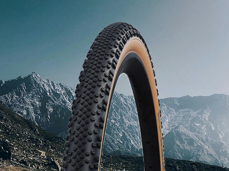 Schwalbe G-One TLE RaceGuard (700x35C)