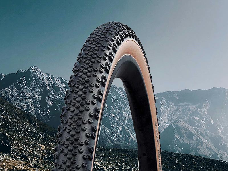 Schwalbe G-One Bite RaceGuard Tubeless Easy (700x45)