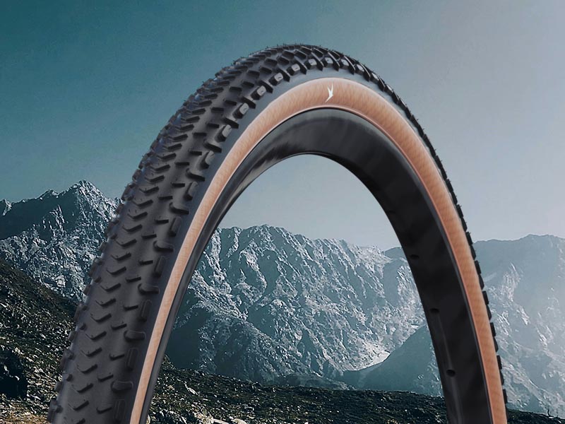 Schwalbe G-One RX Pro Super Race (700x45)