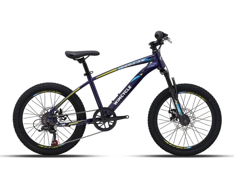 Wimcycle MTB Junior Vulcan 20