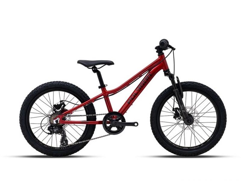 Polygon Relic 20 Junior MTB