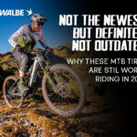 MTB tires that are still worth it in 2025