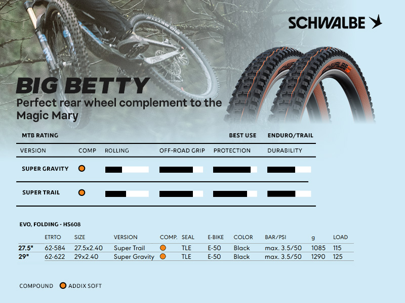 Schwalbe Big Betty MTB Tires