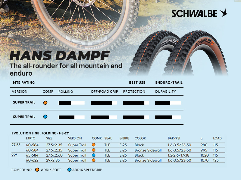 Schwalbe Hans Dampf MTB Tires