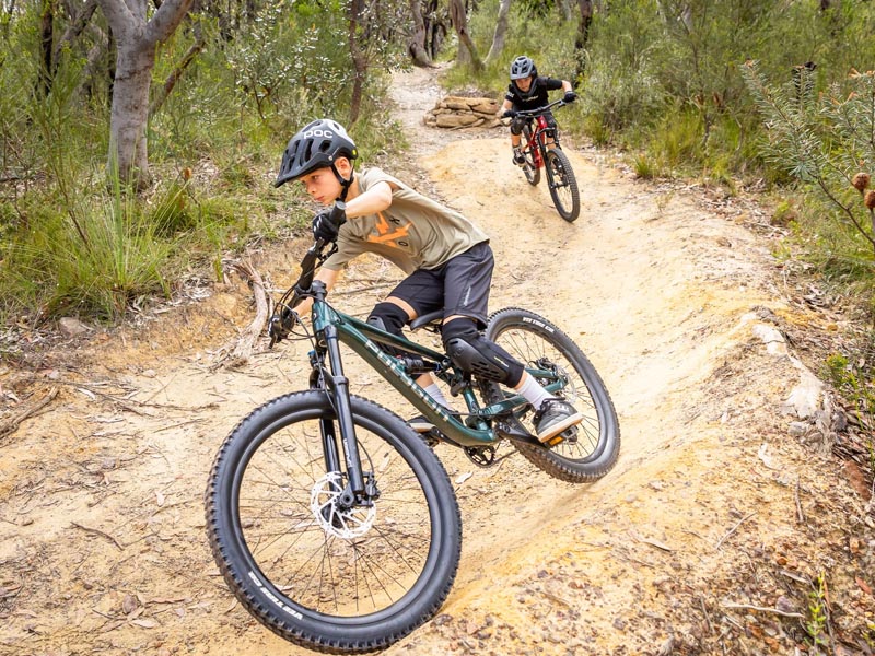 Polygon Siskiu D24 kids mountain bike