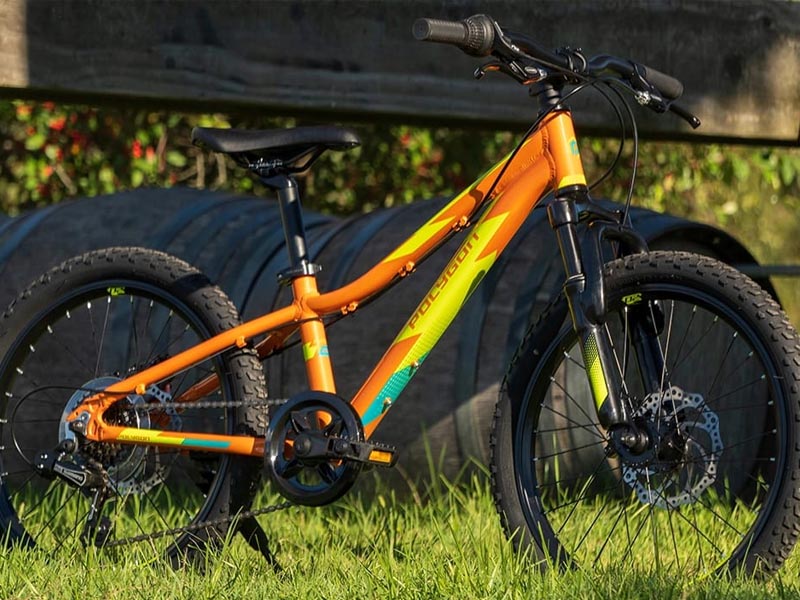 Polygon Relic 24 Kids Mountain Bike