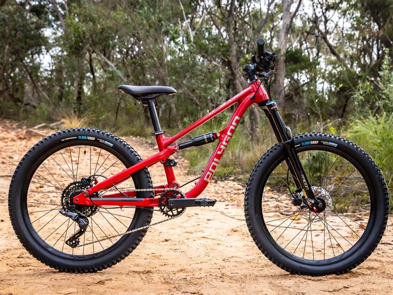 Polygon Siskiu D24 kids mountain bike